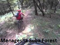 Menagesha Forest day trip 