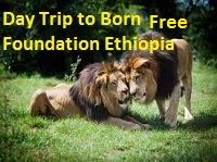 Wildlife safari day Trips from Addis Ababa to the Born Free Foundation Ethiopia 